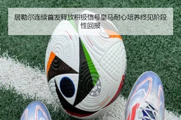 ju-lei-er-lian-xu-shou-fa-shi-fang-ji-ji-xin-hao-huang-ma-nai-xin-pei-yang-zhong-jian-jie-duan-xing-hui-bao-2-362.jpg